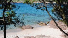 2-room apartment with terrace, 400 m from the sea Isola Rossa